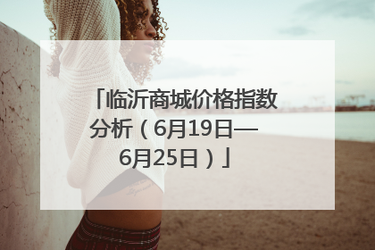 临沂商城价格指数分析（6月19日—6月25日）