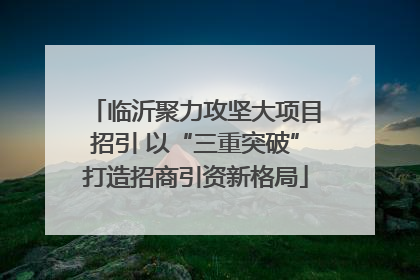 临沂聚力攻坚大项目招引 以“三重突破”打造招商引资新格局