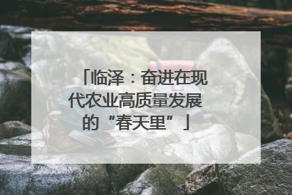 临泽：奋进在现代农业高质量发展的“春天里”