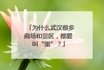 为什么武汉很多商场和景区，都爱叫“里”？