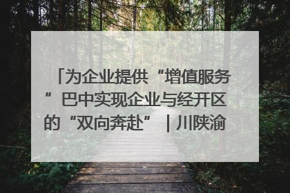 为企业提供“增值服务”巴中实现企业与经开区的“双向奔赴”｜川陕渝网络名人巴中行