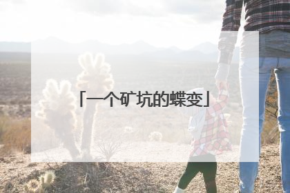 一个矿坑的蝶变