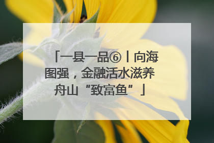 一县一品⑥丨向海图强，金融活水滋养舟山“致富鱼”