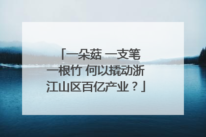 一朵菇 一支笔 一根竹 何以撬动浙江山区百亿产业？