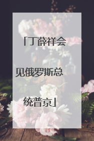 丁薛祥会见俄罗斯总统普京