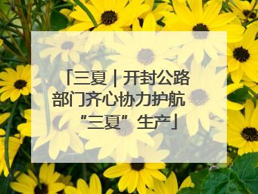 三夏｜开封公路部门齐心协力护航“三夏”生产