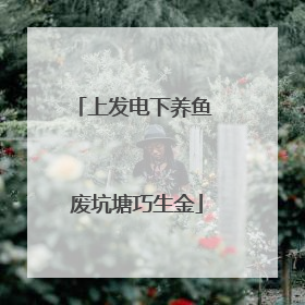 上发电下养鱼 废坑塘巧生金
