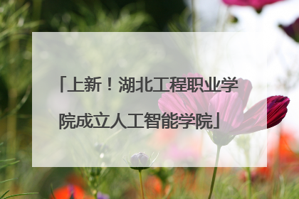 上新！湖北工程职业学院成立人工智能学院
