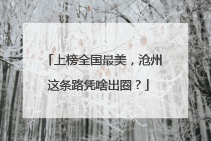 上榜全国最美，沧州这条路凭啥出圈？
