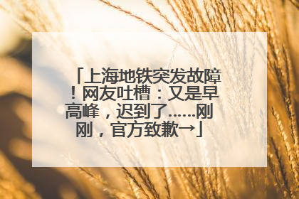 上海地铁突发故障！网友吐槽：又是早高峰，迟到了……刚刚，官方致歉→