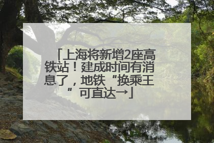 上海将新增2座高铁站！建成时间有消息了，地铁“换乘王”可直达→