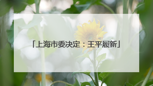 上海市委决定：王平履新