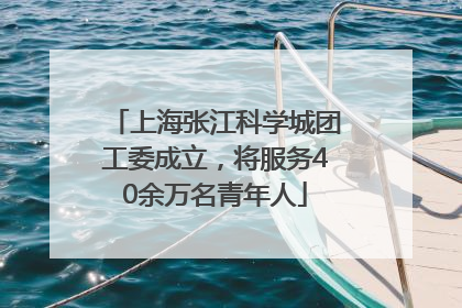 上海张江科学城团工委成立，将服务40余万名青年人