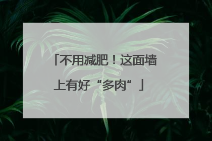 不用减肥！这面墙上有好“多肉”