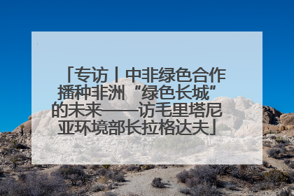 专访丨中非绿色合作播种非洲“绿色长城”的未来——访毛里塔尼亚环境部长拉格达夫