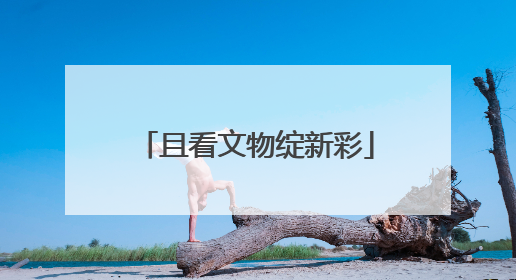 且看文物绽新彩