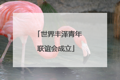 世界丰泽青年联谊会成立