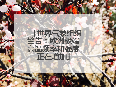 世界气象组织警告：欧洲极端高温频率和强度正在增加