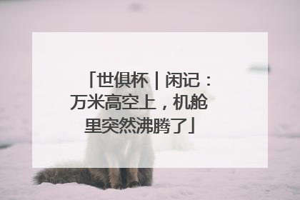 世俱杯｜闲记：万米高空上，机舱里突然沸腾了