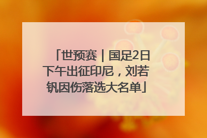 世预赛｜国足2日下午出征印尼，刘若钒因伤落选大名单