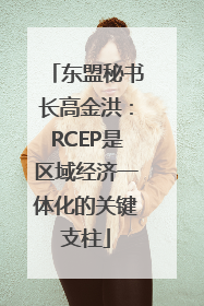 东盟秘书长高金洪：RCEP是区域经济一体化的关键支柱