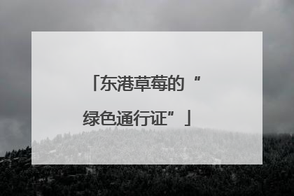 东港草莓的“绿色通行证”
