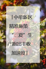 中牟新区精准施策 “三夏”生产跑出丰收加速度