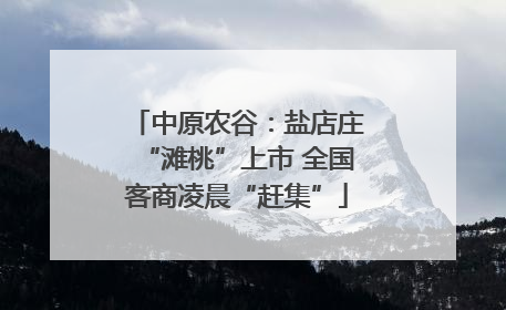 中原农谷：盐店庄“滩桃”上市 全国客商凌晨“赶集”