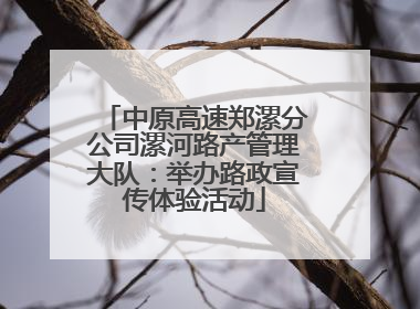 中原高速郑漯分公司漯河路产管理大队：举办路政宣传体验活动