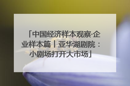 中国经济样本观察·企业样本篇︱亚华湖剧院：小剧场打开大市场