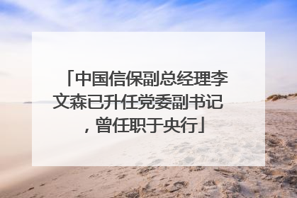 中国信保副总经理李文森已升任党委副书记，曾任职于央行