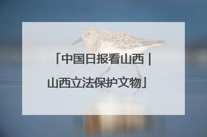 中国日报看山西｜山西立法保护文物