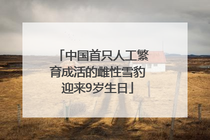中国首只人工繁育成活的雌性雪豹迎来9岁生日