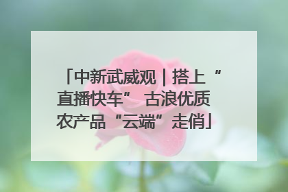 中新武威观｜搭上“直播快车” 古浪优质农产品“云端”走俏