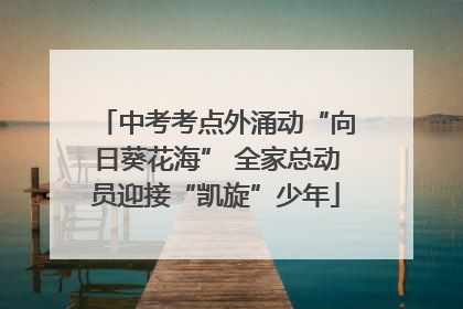 中考考点外涌动“向日葵花海” 全家总动员迎接“凯旋”少年