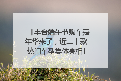 丰台端午节购车嘉年华来了，近二十款热门车型集体亮相