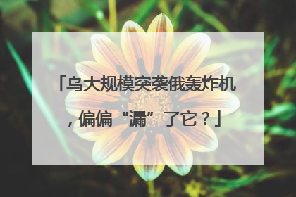 乌大规模突袭俄轰炸机，偏偏“漏”了它？