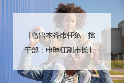 乌鲁木齐市任免一批干部：申琳任副市长