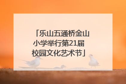 乐山五通桥金山小学举行第21届校园文化艺术节