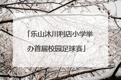 乐山沐川利店小学举办首届校园足球赛