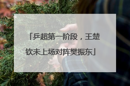 乒超第一阶段，王楚钦未上场对阵樊振东