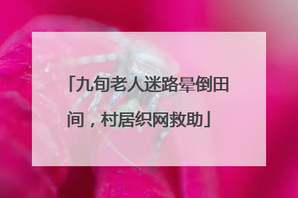 九旬老人迷路晕倒田间，村居织网救助