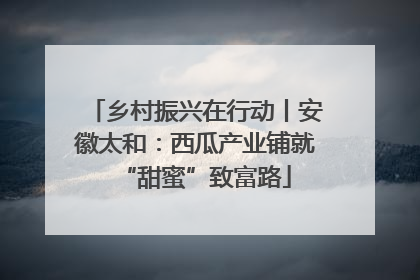 乡村振兴在行动丨安徽太和：西瓜产业铺就“甜蜜”致富路