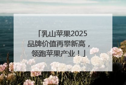 乳山苹果2025品牌价值再攀新高，领跑苹果产业！