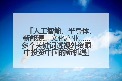 人工智能、半导体、新能源、文化产业……多个关键词透视外资眼中投资中国的新机遇