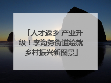 人才返乡 产业升级！李海务街道绘就乡村振兴新图景