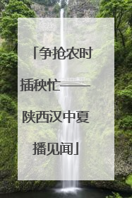 争抢农时插秧忙——陕西汉中夏播见闻
