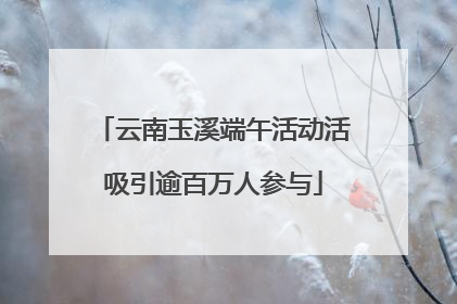云南玉溪端午活动活吸引逾百万人参与