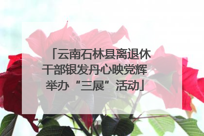 云南石林县离退休干部银发丹心映党辉举办“三展”活动