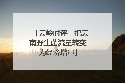 云岭时评｜把云南野生菌流量转变为经济增量